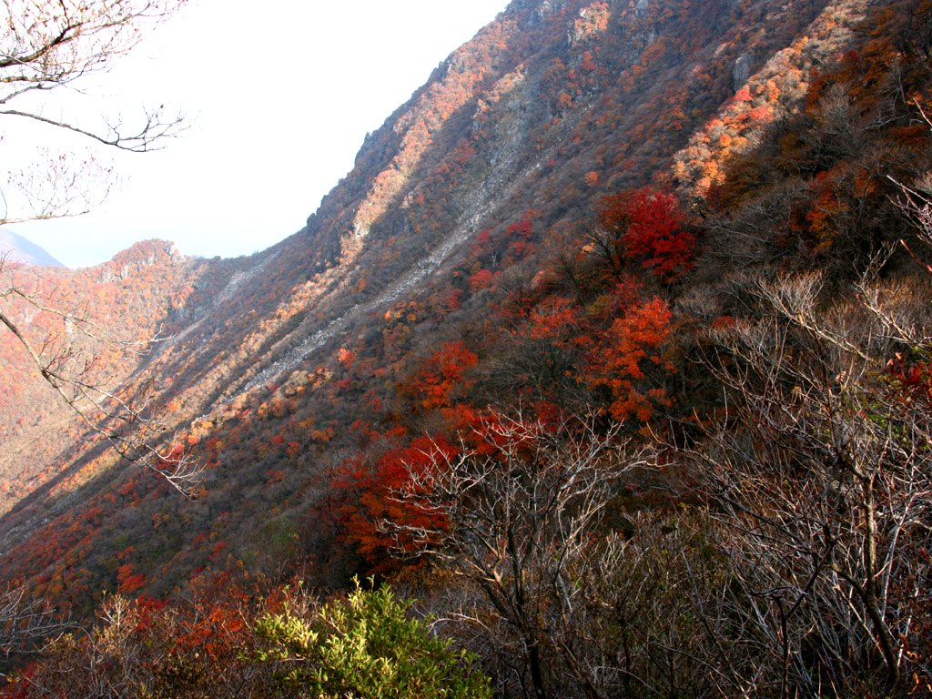 大船山紅葉 九州の山 大分県