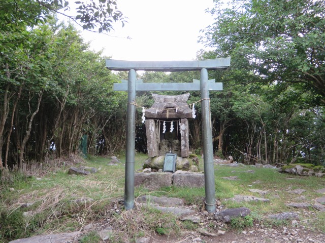 pFRx