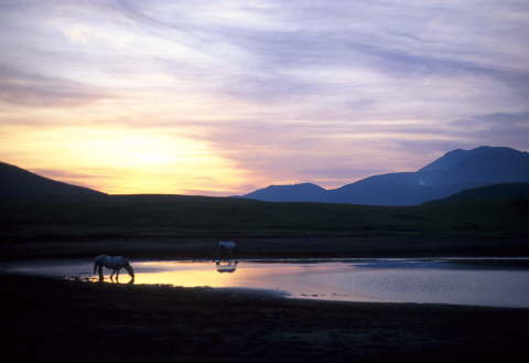 �B�e�n�@���痢�K�l