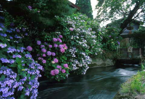 �B�e�n�@������