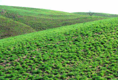 �B�e�n�@�k�O�֎R