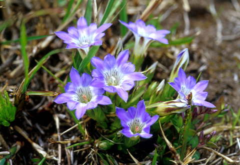 �B�e�n�@�����x�R�[