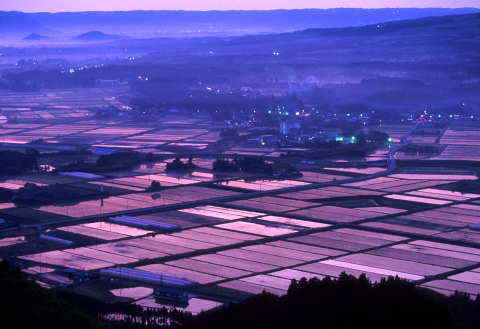 �B�e�n�@��d�m���@�A�T�q�J��������f��93/11