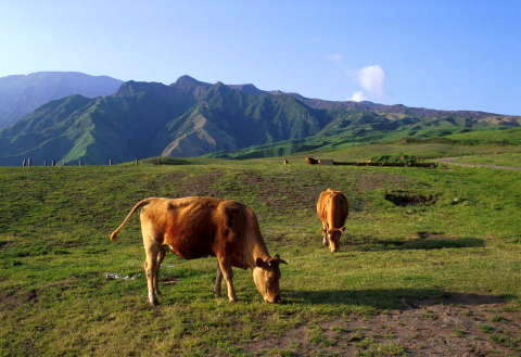 �B�e�n�@�����x�R�[