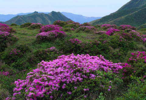 �B�e�n�@�M�R�R�[