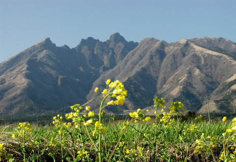 �B�e�n�@���X��