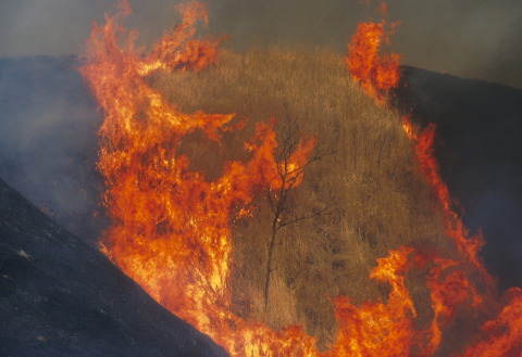 �B�e�n�@�k�O�֎R