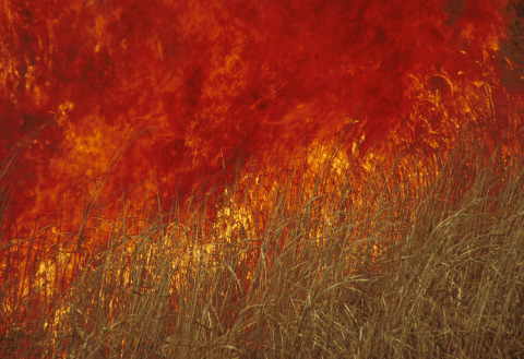 �B�e�n�@�k�O�֎R