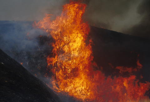 �B�e�n�@�k�O�֎R