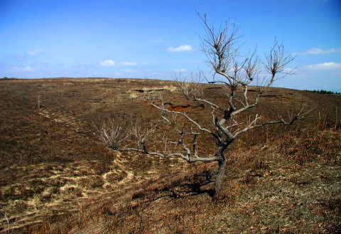 �B�e�n�@�k�O�֎R