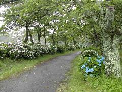 Original Size: 640 x 480, 48KB