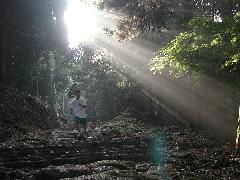 Original Size: 600 x 450, 89KB