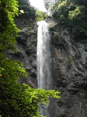 Original Size: 480 x 640, 46KB