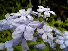 Original Size: 640 x 480, 95KB