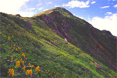 Original Size: 360 x 240, 42KB