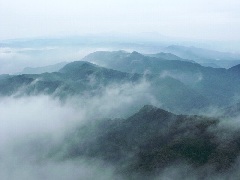 Original Size: 500 x 375, 43KB