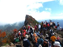 Original Size: 500 x 375, 63KB