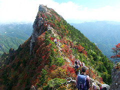 Original Size: 500 x 375, 59KB