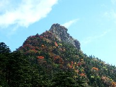 Original Size: 500 x 375, 51KB