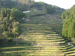Original Size: 600 x 450, 73KB