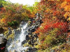 Original Size: 500 x 375, 79KB