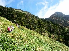 Original Size: 500 x 375, 84KB