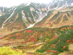 Size: 240 x 180, 9KB