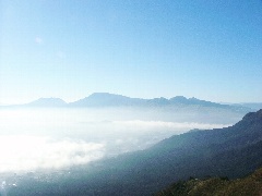 Original Size: 500 x 375, 49KB