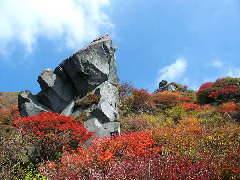 Original Size: 600 x 450, 87KB