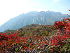 Original Size: 600 x 450, 93KB