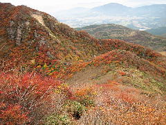 Original Size: 600 x 450, 89KB