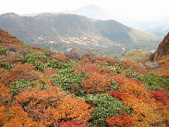 Original Size: 600 x 450, 83KB