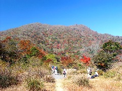 Original Size: 500 x 375, 98KB