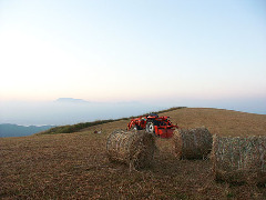 Original Size: 500 x 375, 41KB
