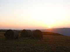 Original Size: 500 x 375, 29KB