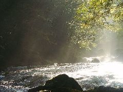 Original Size: 500 x 375, 47KB