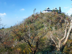Original Size: 480 x 360, 85KB