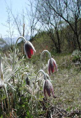 �B�e���@2001.04.15