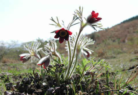 �B�e���@2001.04.15