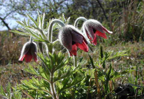 �B�e���@2001.04.15